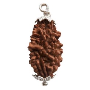 Rudraksha Perle oval 4,6 cm Silber 2F