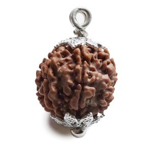 Rudraksha Perle 3 cm  7F