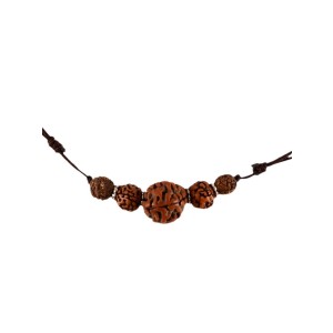 Buddhistische Kette Rudraksha 5 Seeds