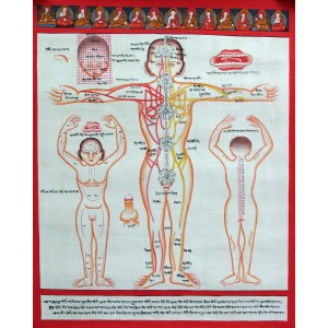 Tibetischer Medizin Yoga Thangka  Nr. 3  40 x 49cm
