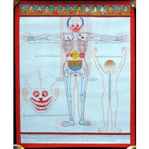 Tibetischer Medizin Yoga Thangka Nr. 5 - 40 x 48cm