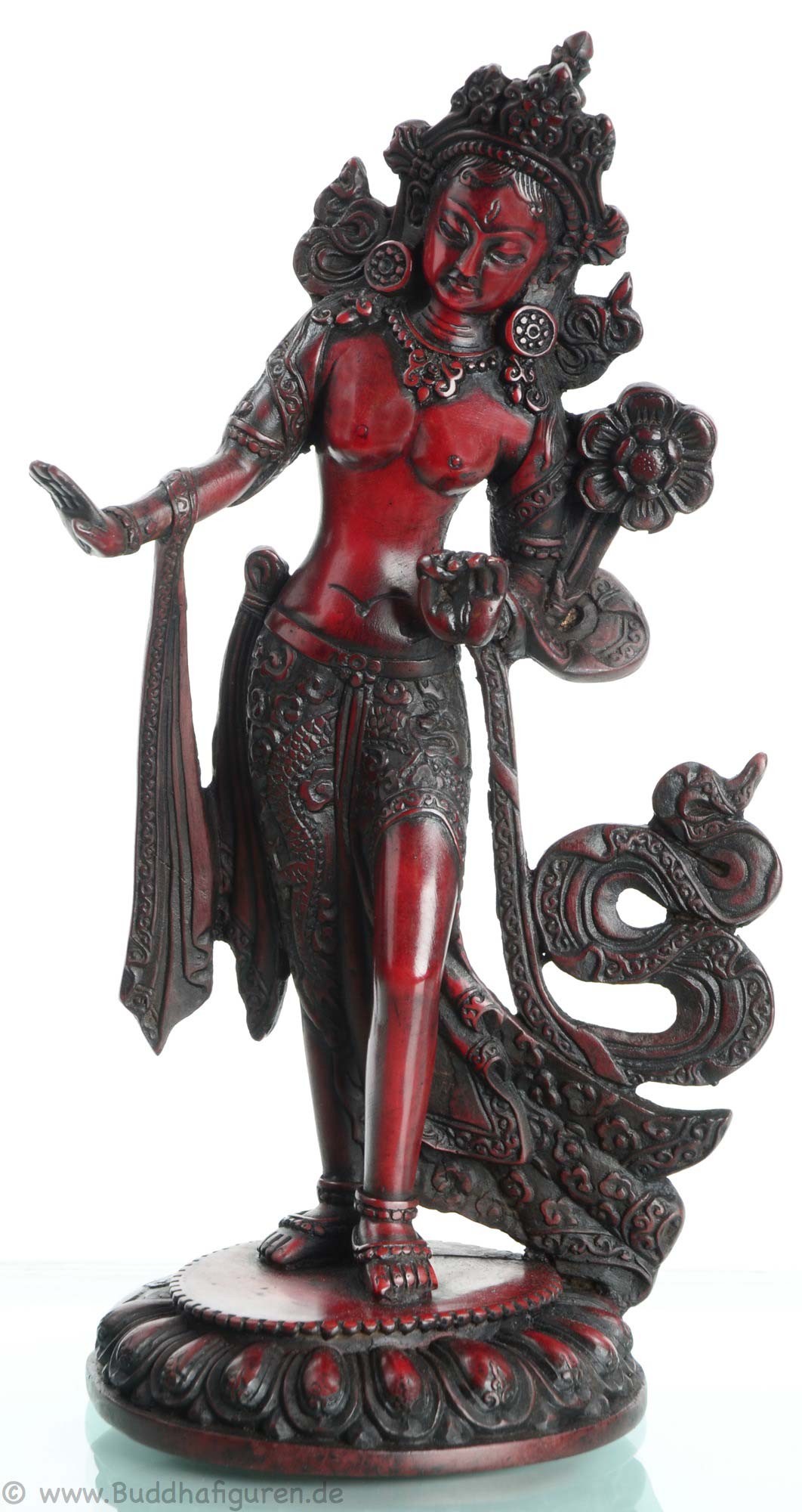 Tara