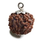 Rudraksha Perle  3 cm Silber 8F