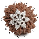 Rudraksha Perle  2,8 cm Silber 12F