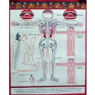 Tibetischer Medizin Yoga Thangka Nr. 4 40cm x 48cm